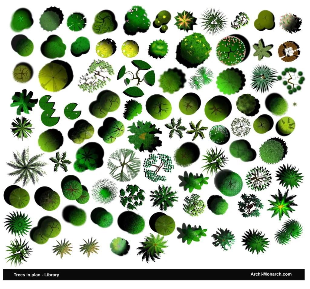TREES IN PLAN LIBRARY ONE